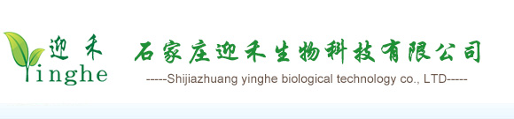 中化工程沧州冷却技术有限公司